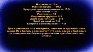 Вегетарианские продукты содержащие белок