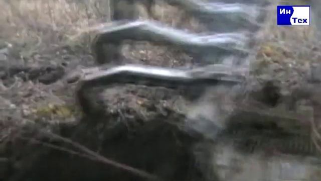 Корчеватель пней плодовых деревьев