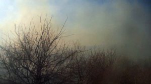 Тушение ландшафтного пожара.