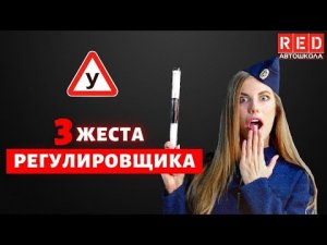 Не знаешь жесты регулировщика? СМОТРИ! Автошкола RED