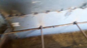 Бункерная кормушка для свиней дешевый вариант