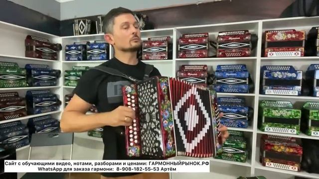 А как играть на гармони стоя? Гармони походные и полные. Сравнение, демонстрация, песни смотреть онлайн