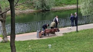 ПОГОДА В МОСКВЕ 19.05.2023, ОПЯТЬ ДОЖДИ.