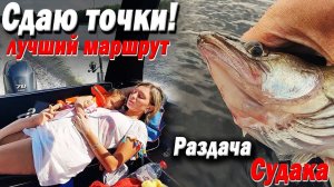 Сдаю точки КРУТОГО маршрута на лодке. Жена в восторге! Попали на раздачу судака. Весьегонск  Устюжна