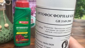 Удобрения для гортензии, препараты для роста и голубых цветов гортензии, мои советы