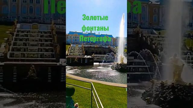 Золотые фонтаны Петергофа #russia #путешествия #петергоф #петербург