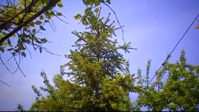 Природа Ростов-на-Дону смотреть онлайн