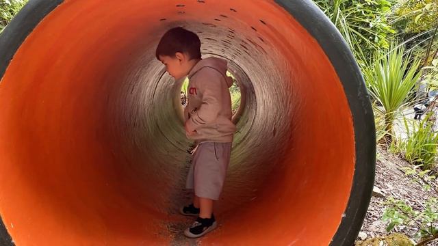 Дорога в Окленд • Зоопарк Веллингтона • Гитара | Trip to Auckland • Wellington Zoo • Guitar смотреть онлайн