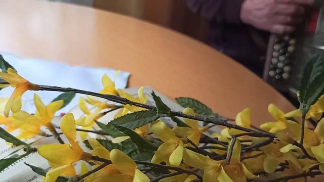 Цветущий в акациях город...