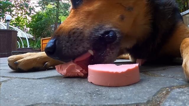 ▶️ НА НАБЕРЕЖНОЙ ВСТРЕТИЛ ДРУЖКА , СХОДИЛИ В МАГАЗИН НА МОРЕ ПОДПИСЧИЦА С ЮТУБА. КРЫМ ЯЛТА ПОГОДА смотреть онлайн