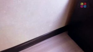 Новые Приключения Хомяка Хомы. Хомяк На Прогулке Убежал Что Делать?