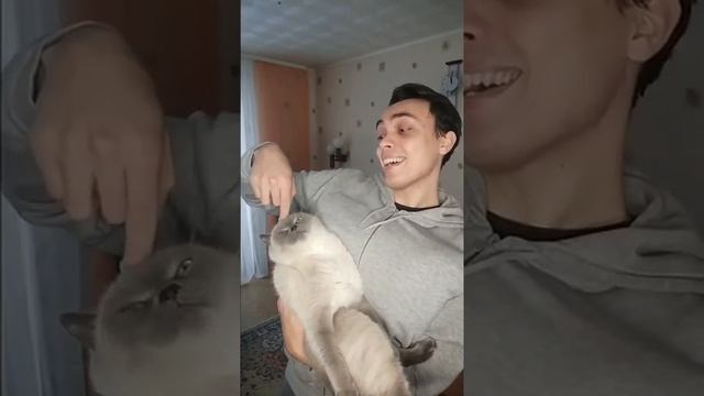 Как играют с котиком ДЕВУШКИ/ПАРНИ