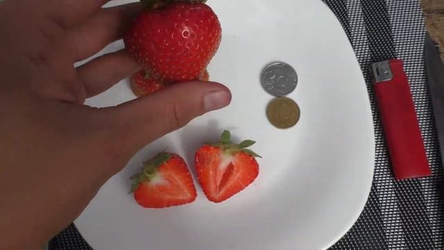 Обзор ягоды клубники (садовой земляники) сорта Флоретта смотреть онлайн