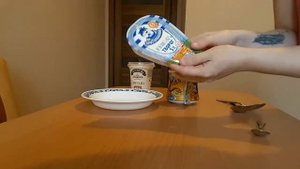 ТВОРОГ СО СМЕТАНОЙ И САХАРОМ