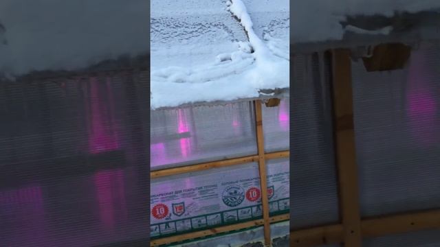 Зимняя теплица для выращивания огурцов и помидор,в -35 Реально. Часть 1