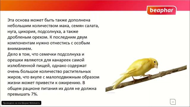 Кормление домашних птиц