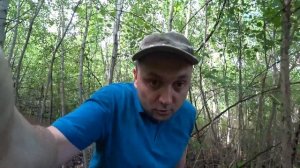 Ложные белые грибы. Разнообразие благородных грибов в июне.