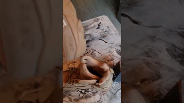 трекинговые ботинки DAIWA смотреть онлайн