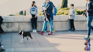 Барселона зимой