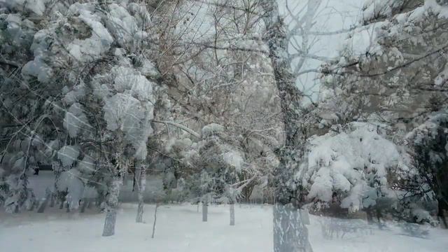 10 февраля народный праздник Ефремов День. Что нельзя делать. Народные традиции и приметы.