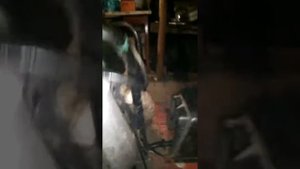 Генератор от ваз на муравей