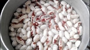 ВАРЕНАЯ ФАСОЛЬ БЕЗ ПРЕДВАРИТЕЛЬНОГО ЗАМАЧИВАНИЯ