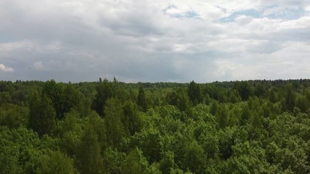Старостинское озеро у д  Муя Кировского района ЛО