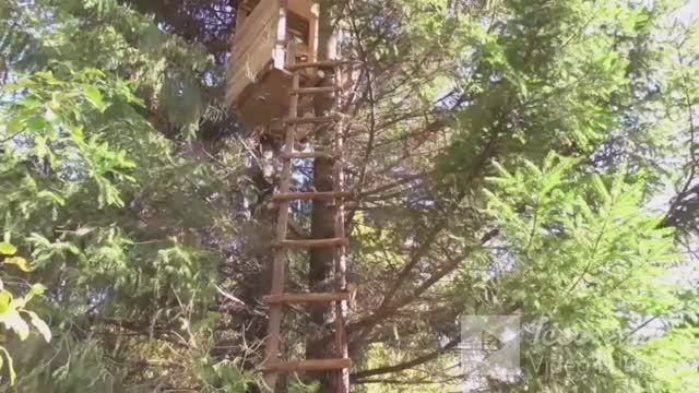 Делаем рабочую приваду на лису,с ЛАБАЗОМ.Полный обзор... смотреть онлайн