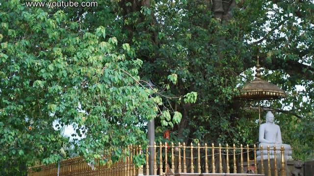 Budu Sihila Galala - A beautiful Buddhist song смотреть онлайн