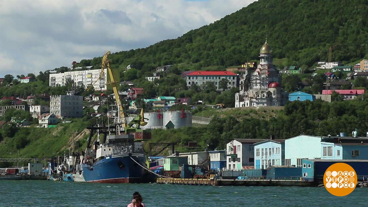 петропавловск камчатский фото города 2023