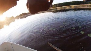 ОГРОМНАЯ ЩУКА ГНЁТ СПИННИНГ В ДУГУ MAXIMUS AXIOM X