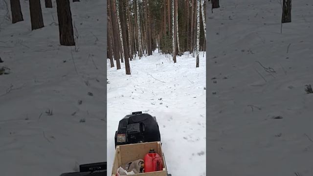 покатушки на мотособаке икудза