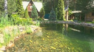 Лесной пруд на участке через 15 лет #azbukasadaru 112