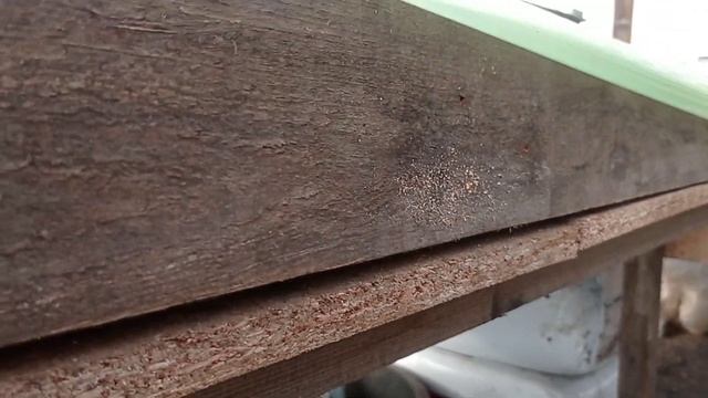 Простые столы для зимнего и весеннего выращивания саженцев ежевики и малины! смотреть онлайн