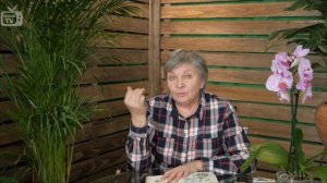 Болезни малины, как лечить - полезные советы.