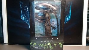 Review! Neca 2015 Xenomorph. Big Chap "Brownie" aka "Chappi" Alien!