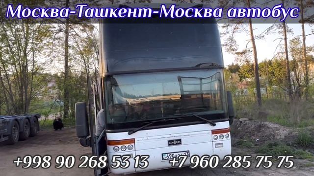 Ташкент Москва автобус Москва Ташкент автобус Ташкент Краснодар автобус Ташкент Красноярск автобус