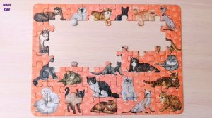 Кошечки - Порода кошек - Собираем пазлы вместе с MariKMV