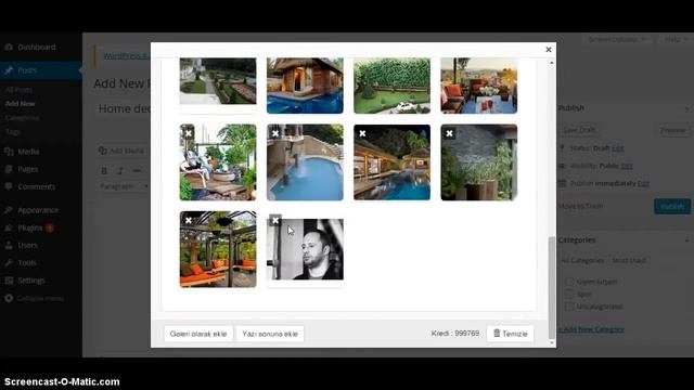 ImageTS Wordpress Plugin смотреть онлайн