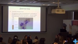 Диагностика гепатозооноза собак.mp4