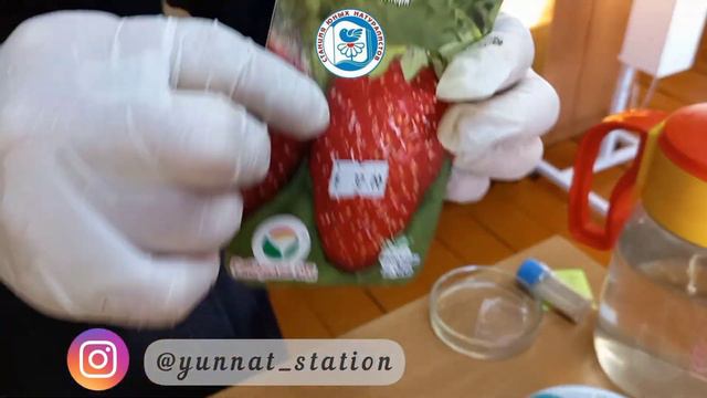 ДЬЭДЬЭНИ олордуу субэлэрэ / 2022 смотреть онлайн