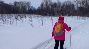 Следы лося на снегу.... почти в черте города#следылося#беговыелыжи#зимавлесу#