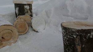 Колоды для пчел. Отличный способ изготовления вертикальных колод!
