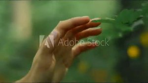 Народные Методы Лечения псориаза в домашних условиях