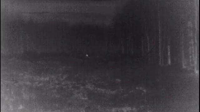 охота на кабана. съёмка на pulsar Helion 38 ,до цели 400 метров. смотреть онлайн