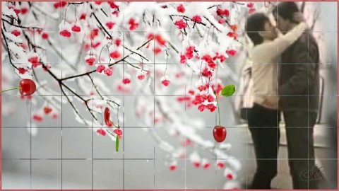 ЗИМНЯЯ ВИШНЯ