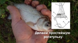 Летняя ловля щуки на жерлицу- рогатульку