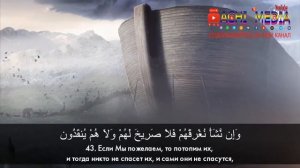 Сураи Ёсин пеш аз хоб бисёр ороми мебахшад ва субх бо як хушхоли бедор мешавед.