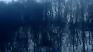 Охота на лису с гончей