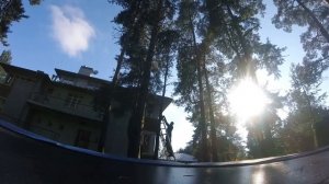 как падает дерево